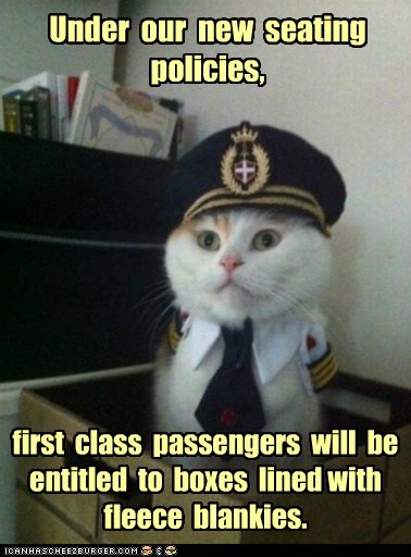 First class lolcat