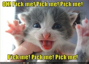 Pick me! Pick me!